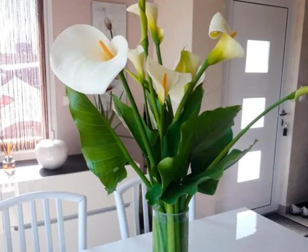 Maison Cosy Entre Et Briere 度假居